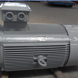 High Voltage Efficiency 3300V 1MW 2MW 5MW Magnetic Motor Generator for Steam Turbine Gas Turbine
