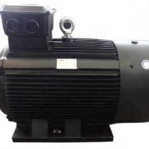 3-Phase Asynchronous Motor Series Sdm-Zs Special for Sand Maker