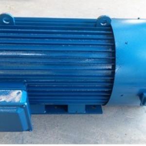 300kw 280rpm Permanent Magnet Sychronous Generator for Hydro Plants