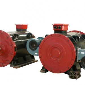 350kw 300rpm 60Hz Vertical Permanent Magnet Generator