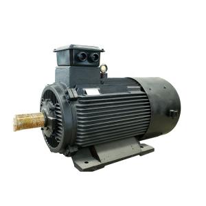 380V 50Hz 100kw~400kw Permanent Water Generator Alternator for Sale