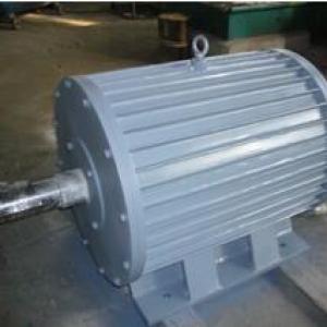  40kw 100rpm Low Rpm Vertical Permanent Magnet Generator