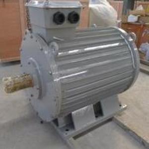 Customize Generator Alternator for Diesel Gas Biogas Thermal Steam Turbine Engine and CHP System