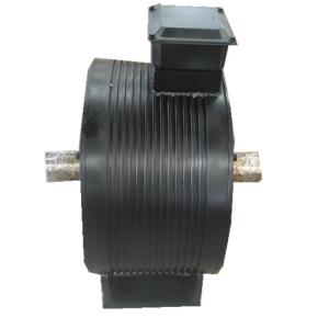 Customized Double Shaft Horizontal Wind Power Low Rpm Dynamo Permanent Magnet Generator/ Alternator (1kw)