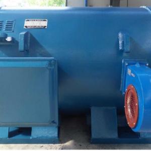 Large Low Speed High Efficiency Horizontal Permanent Magnet Generator