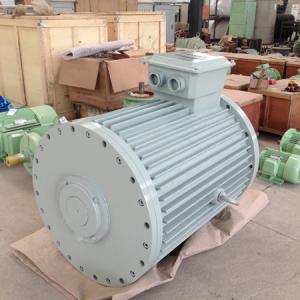 Low Speed Hydro Turbine Permanent Magnet Generator 10kw 300rpm 60Hz