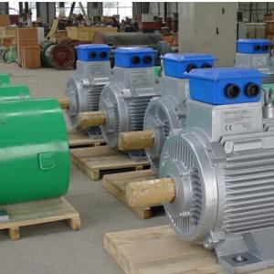 Low Speed Hydro Turbine Permanent Magnet Generator 50Hz
