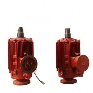 Progressive Cavity Pump Direct-Drive Low Speed Sychronous Motor Progressive Cavity Pump Direct-Drive Low Speed Sychronous Motor