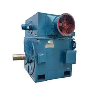 Tyzd Series Low-Voltage Low-Speed Direct Drive Three-Phase Permanent Magnet Synchronous Motor (380V center height 355-800)