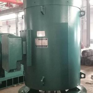  Yls, Ylks, Ylkk Series 10kv (H450 ~ 630) Medium-Sized High-Voltage Vertical Three-Phase Asynchronous Motor pictures & photos Yls, Ylks, Ylkk Series 10kv (H450 ~ 630) Medium-Sized High-Voltage Vertica